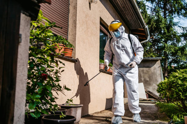 Best Pest Control Near Me in Hanover, IN