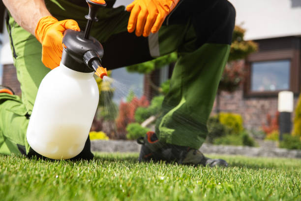Trusted Hanover, IN Pest Control Experts