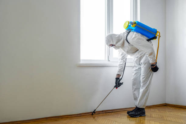 Best Residential Pest Control  in Hanover, IN