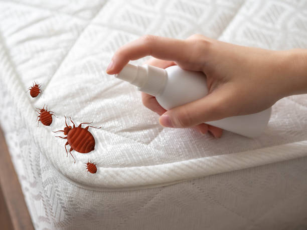 Best Cockroach Control Services  in Hanover, IN