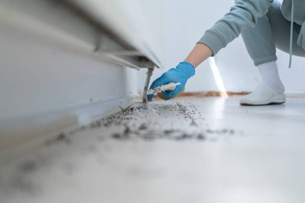 Best Affordable Pest Control Services  in Hanover, IN