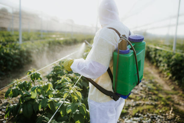 Best Pest Removal Services  in Hanover, IN